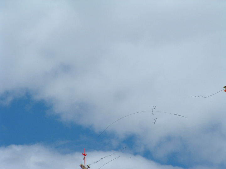 2005_0618EE