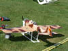 2005_0618BN