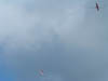 2005_0618CR