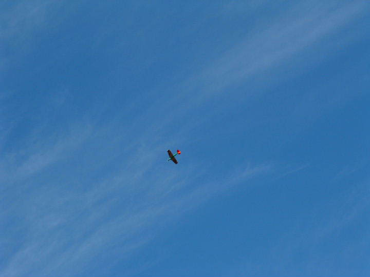 2005_1112AO