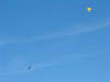 2005_1112BSI