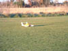 2005_1112CL