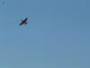 2006_0713_190934AA