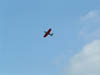 2006_0713_194004AA