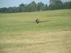 2006_0713_194304AA
