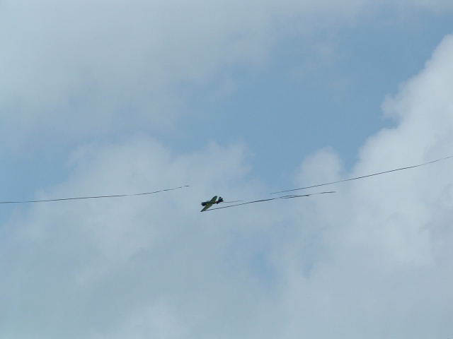 2006_0714_161658AA