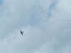 2006_0714_161612AA