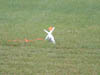 2005_0713BI