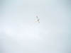 2005_0713BV