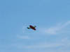 2005_0626AJ