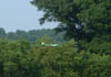 2005_0704BDc