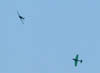 2005_0704BWc