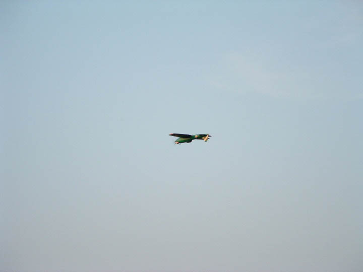 2005_08100010