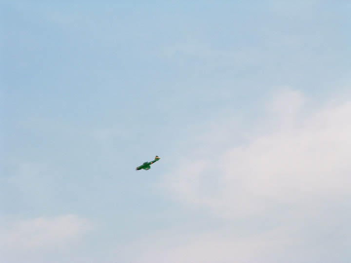 2005_08100013