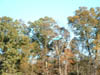 2005_1030AV