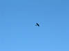 2005_1030AW