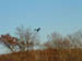 2005_1120BP