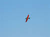 2005_0912(017)