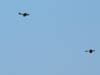 2005_0704AC